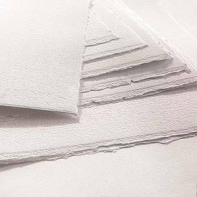 Arches Cover Paper Sheet White 22x30
